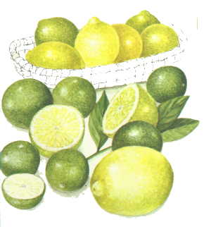 Compota de Limão