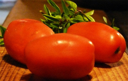 Tomates Recheados com Búfala