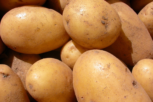 Batatas Coloridas